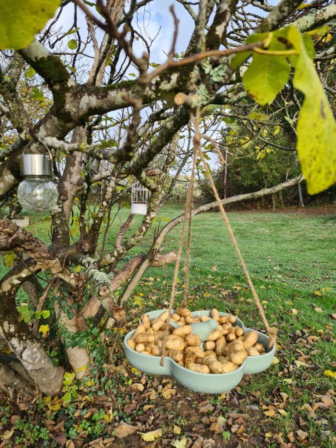 Le Coq En Repos Panzió Saint-Sylvestre-sur-Lot Kültér fotó