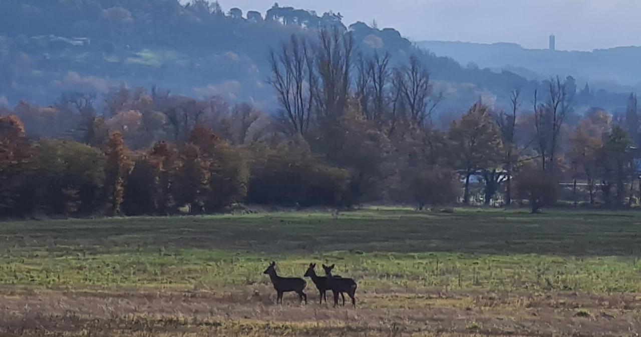 Le Coq En Repos Panzió Saint-Sylvestre-sur-Lot Kültér fotó